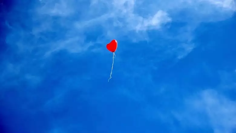 Wunder Liebe: Die Erforschung Eines Gefuhls (2019)