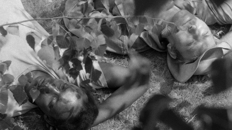 Hunting Party (1964)