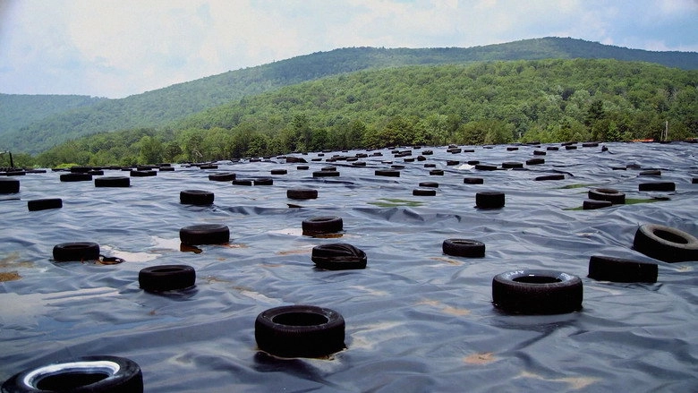 The Landfill (2012)