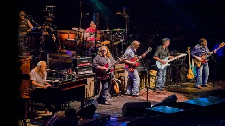 All My Friends: Celebrating The Songs & Voice Of Gregg Allman (2014)
