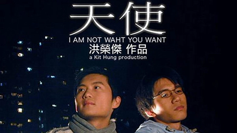 I Am Not What You Want (2001)