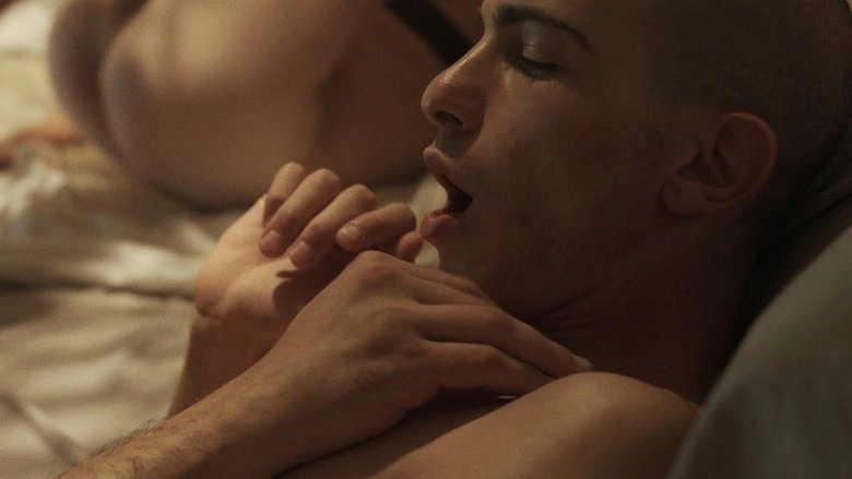 Night Of Love (2018)