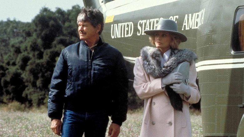 Assassination (1987)