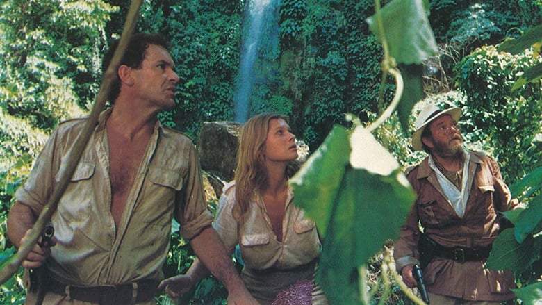 The Hunters Of The Golden Cobra (1982)