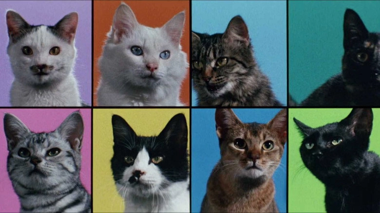 Cats On Park Avenue (1989)