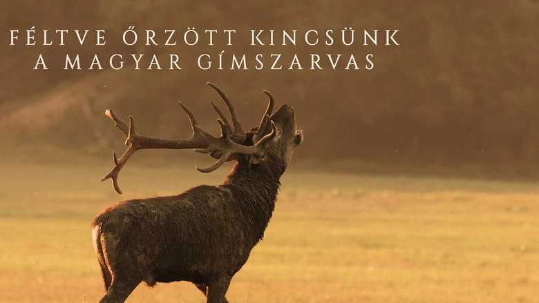 Feltve Orzott Kincsunk, A Magyar Gimszarvas (2020)