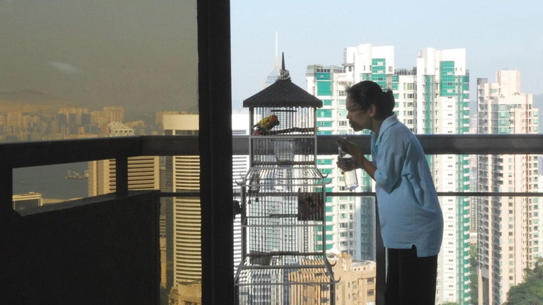 Dry Rain (2009)