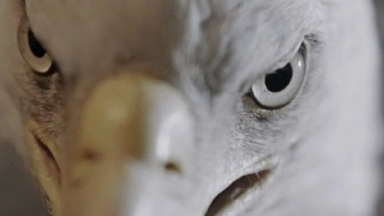 The Animal That Therefore I Am (2021)