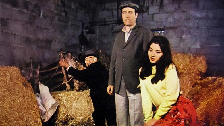 Tokatci (1984)