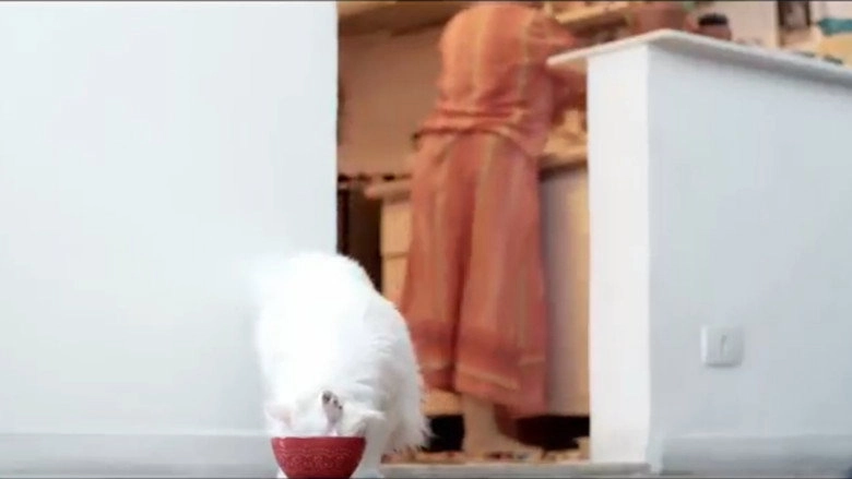 Kafcat (2023)