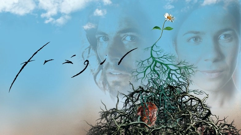 Fragil (2004)