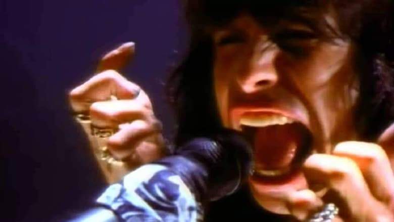 Aerosmith: Big Ones You Can Look At (1994)