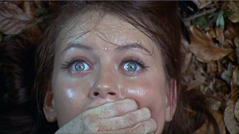 In The Devil's Garden (1971)