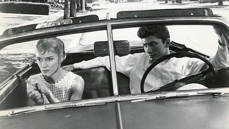 Too Soon To Love (1960)