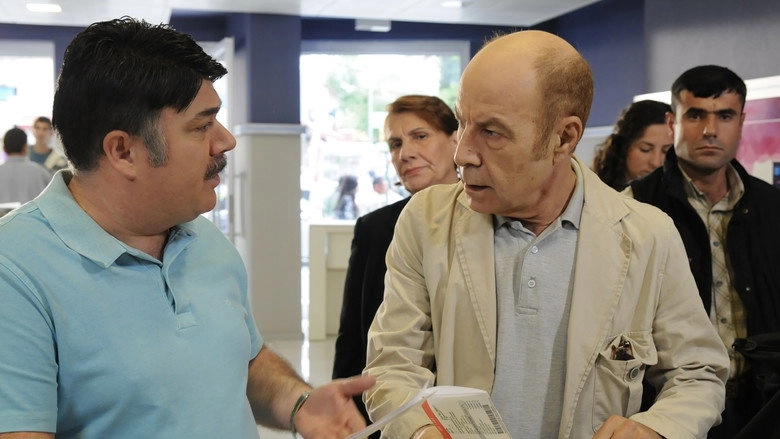Kirpi (2009)