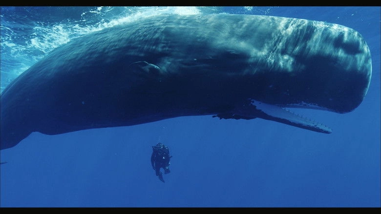 Cachalots, Une Histoire De Famille (2021)