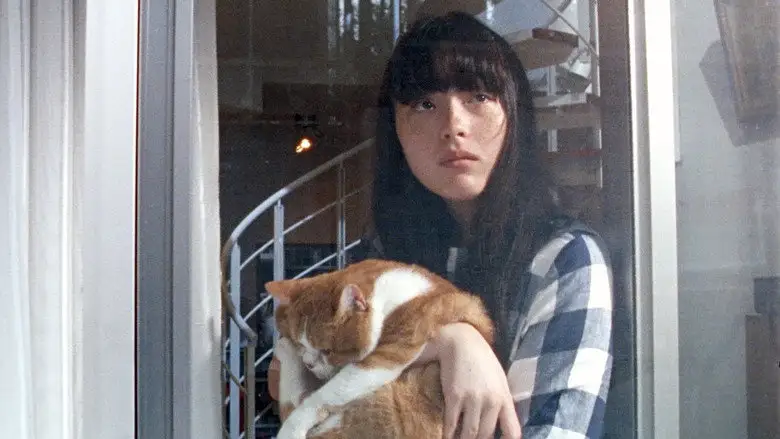 Cat's Home (2020)