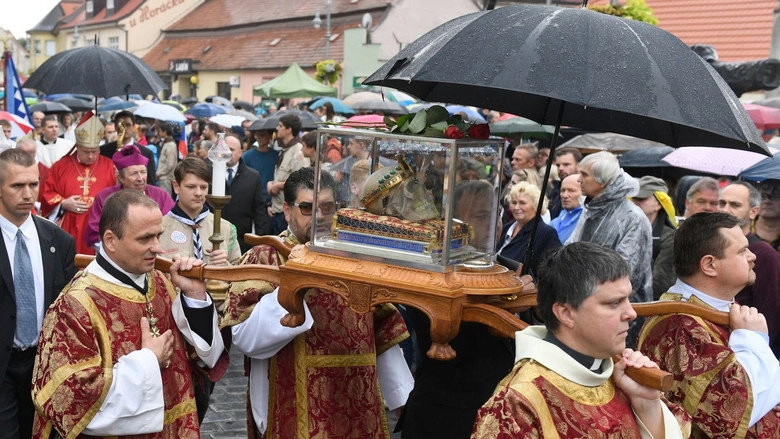 Dvoji Zivot Knizete Vaclava (2007)