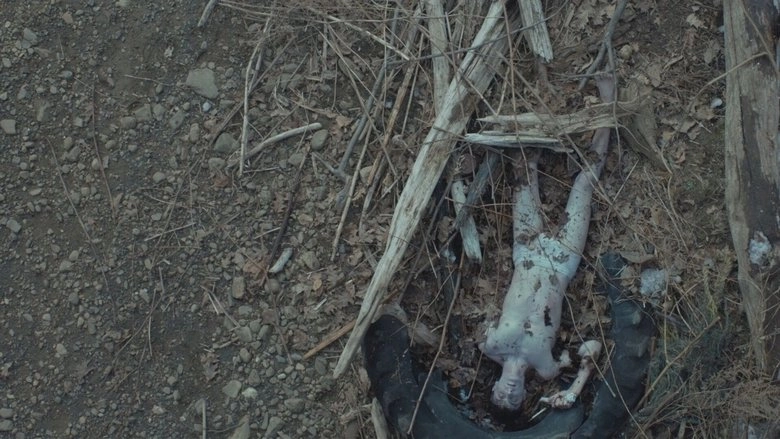 Jamie Marks Is Dead (2014)