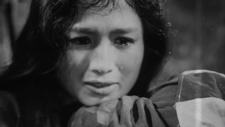 Vi Tuyen 17 Ngay Va Dem (1973)