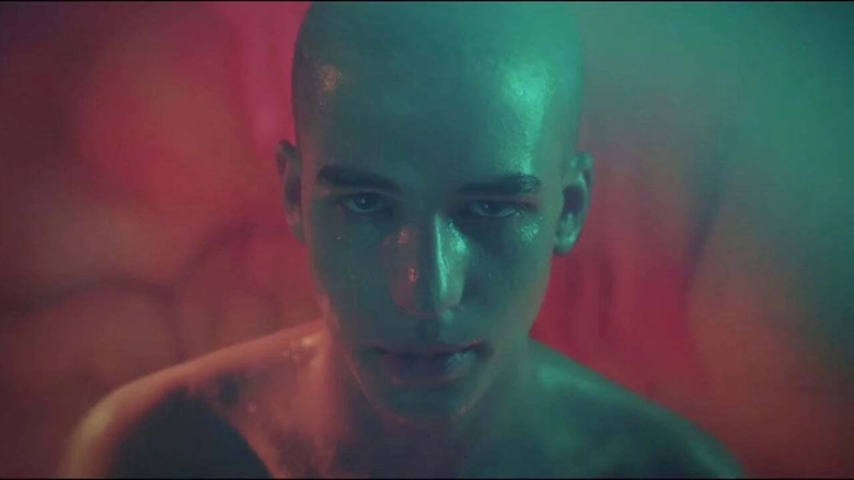 Heal, Goose (2013)