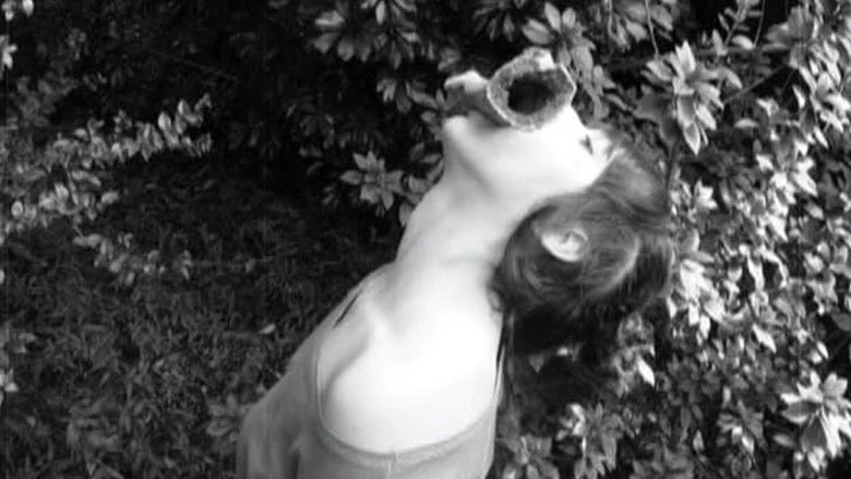 How To Irritate Harcore Dandies (2012)