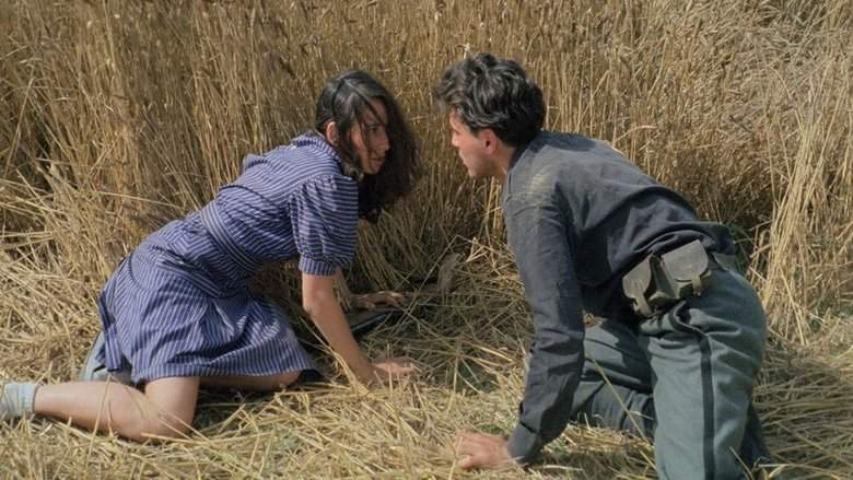 The Night Of The Shooting Stars (1982)