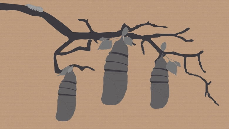 Reel #1: Surfing With Butterflies (2026)