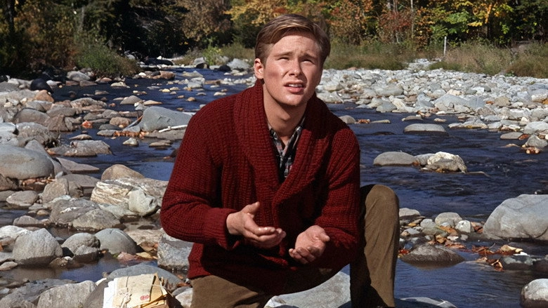 Those Calloways (1964)
