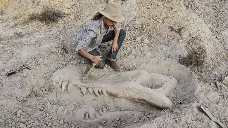 Valley Of Bones (2017)