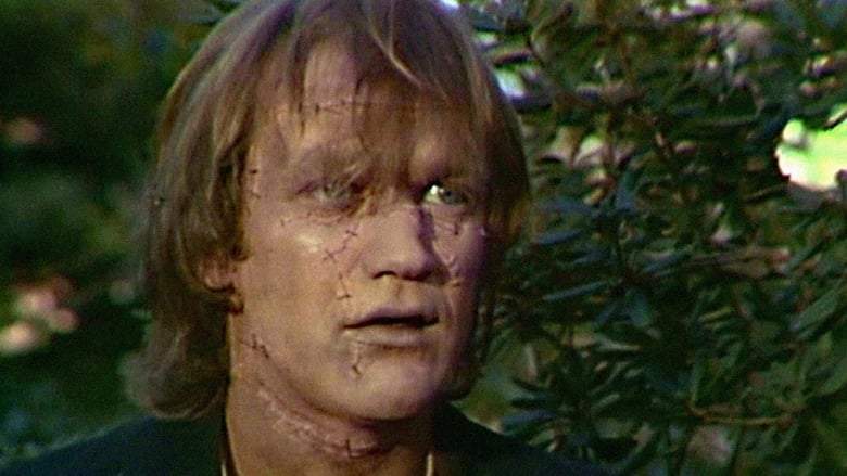 Frankenstein: Part 1 (1973)