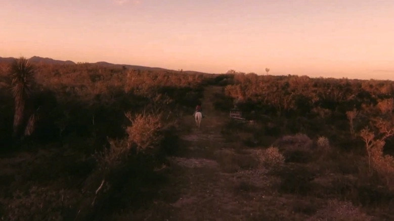 Vaqueros (2024)