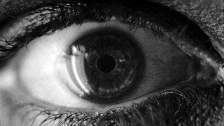 Voyage To Metropolis (2010)