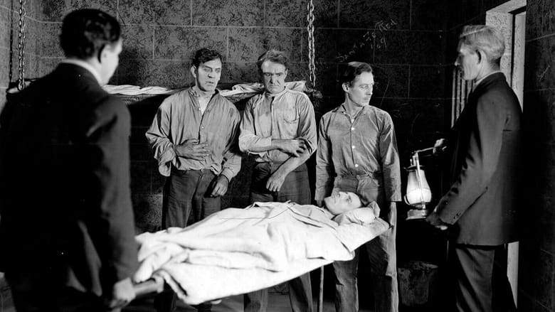 The Face On The Bar-Room Floor (1923)