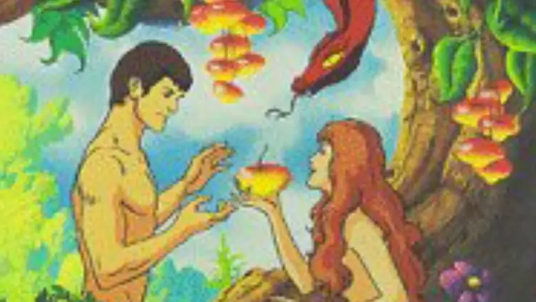 The Creation (1988)