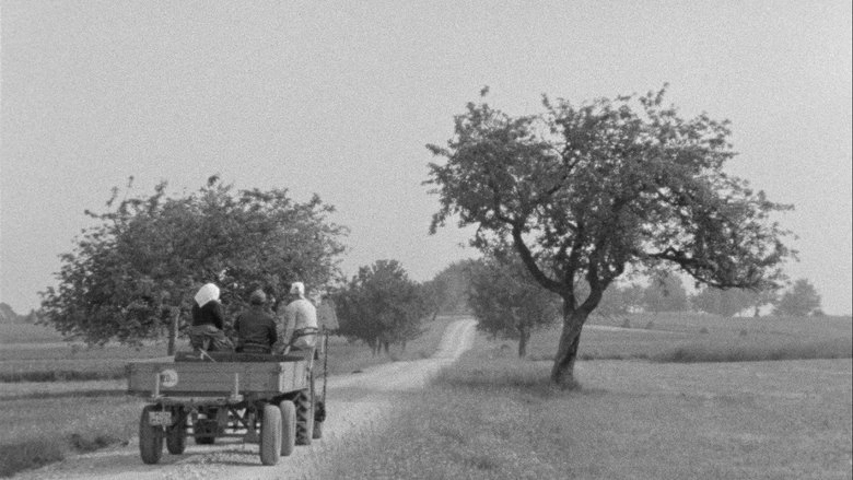 Odenwaldstetten (1964)