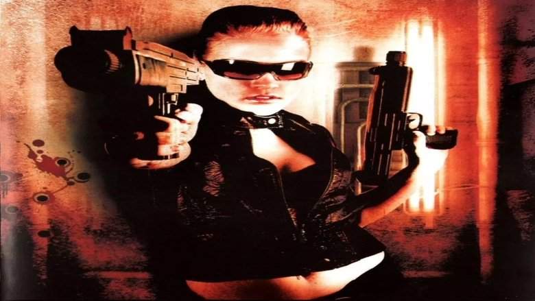 Journal Of A Contract Killer (2008)