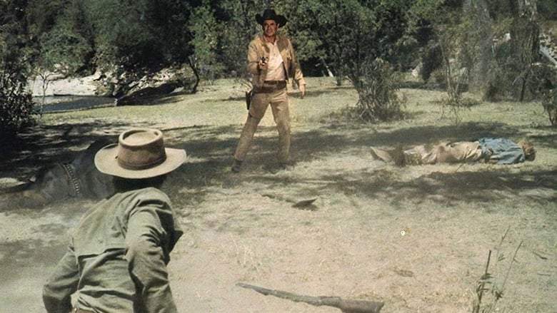 Heaven With A Gun (1969)