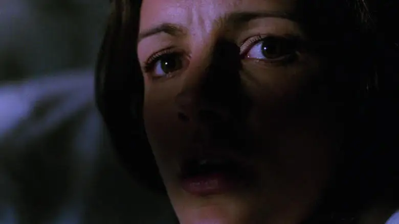 A Deadly Vision (1997)