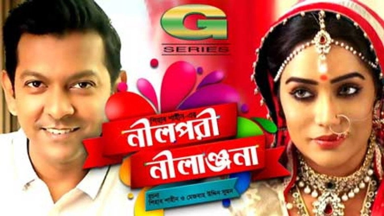 Neelpori Nilanjona (2013)