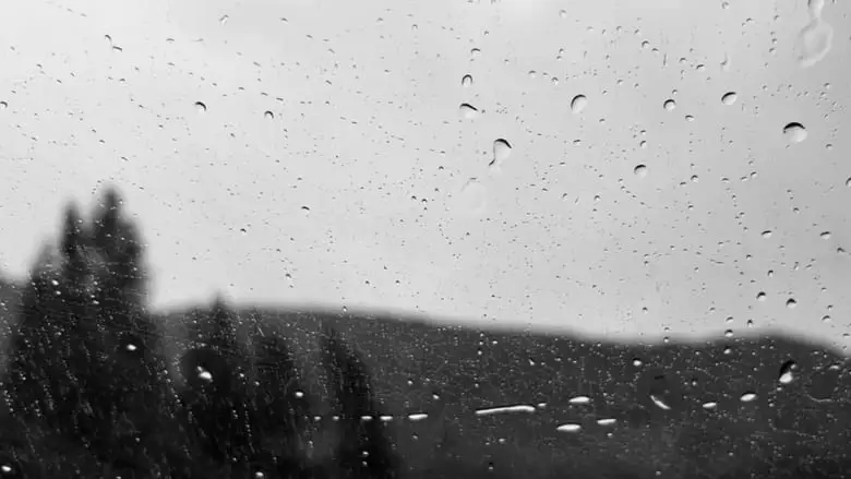 Drivin' In The Rain (2024)