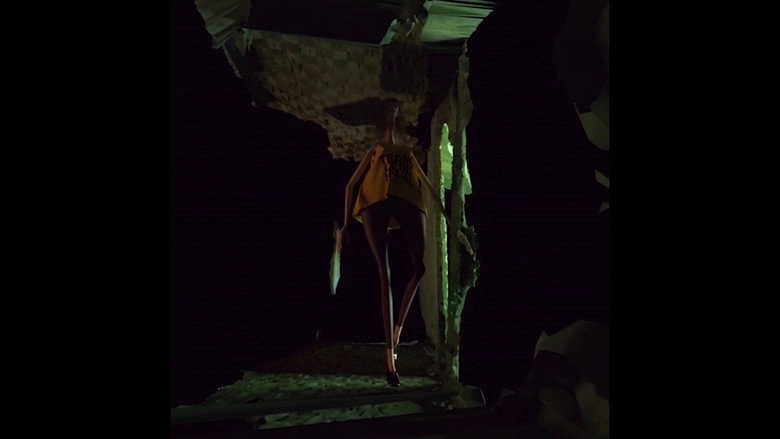 Protocorba (2019)