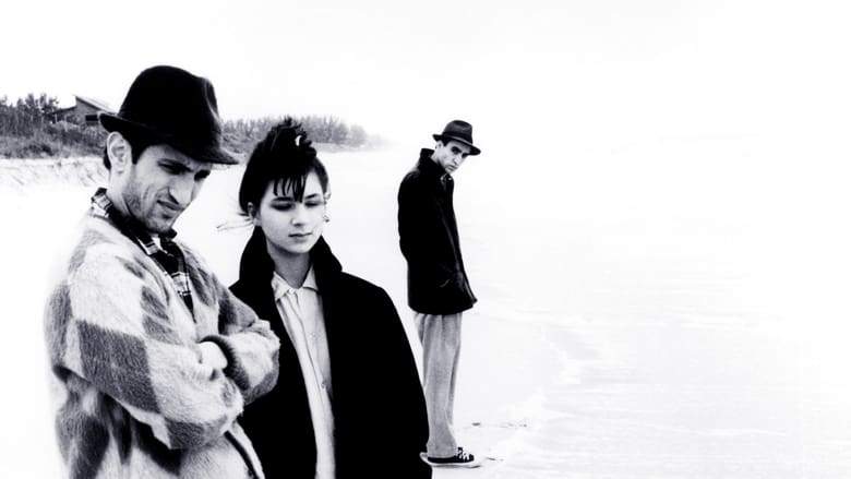 Stranger Than Paradise (1984)