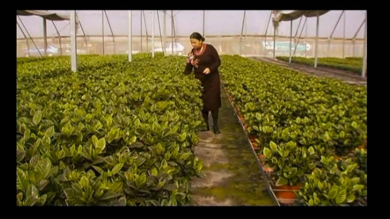 Hothouse (2009)