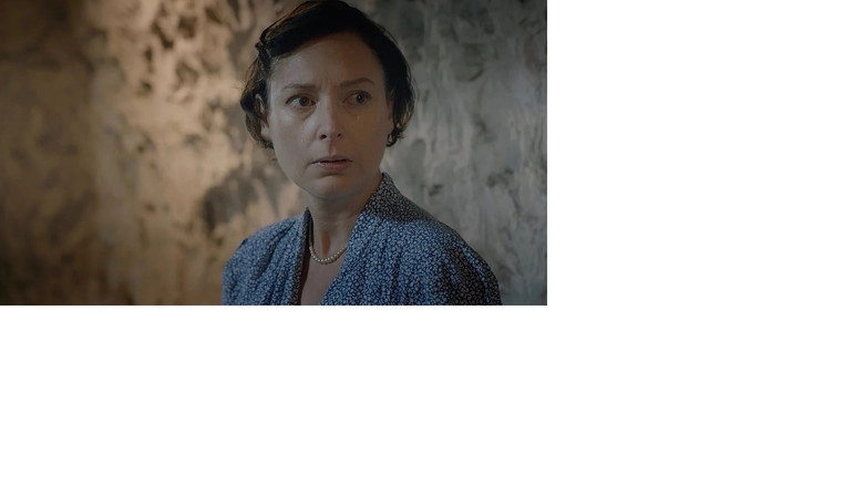 Coccolith (2017)