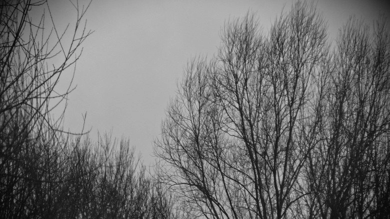 In Winter (2026)