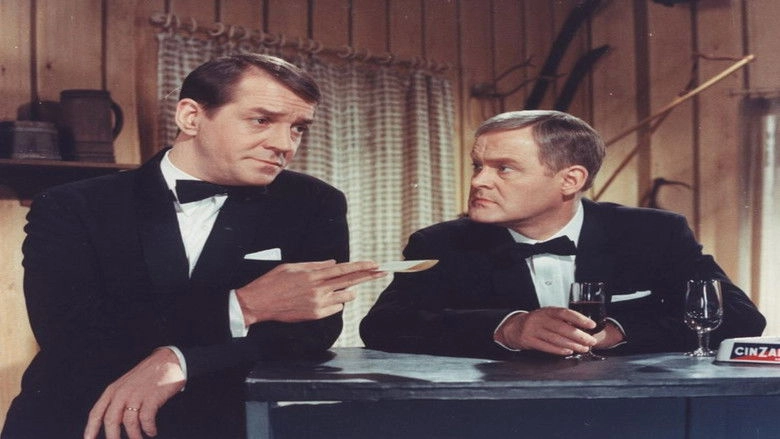 Min Kones Ferie (1967)