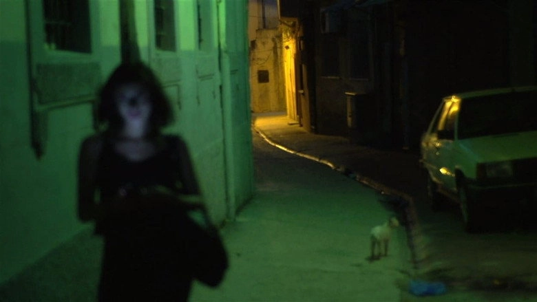 A Gay Girl In Damascus: The Amina Profile (2015)