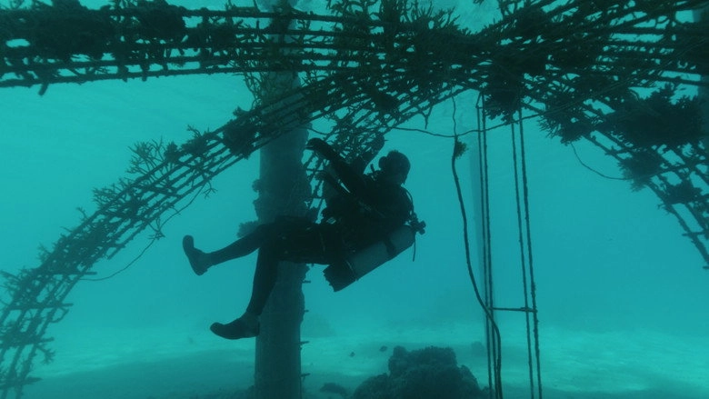 Bora Bora, Le Laboratoire Du Futur (2022)