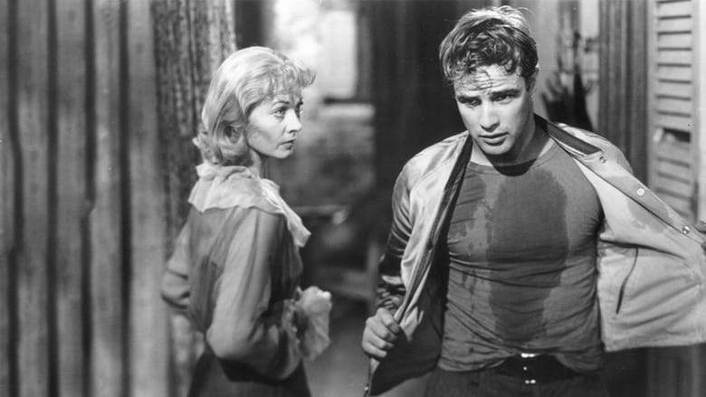 A Streetcar Named Desire (1951)
